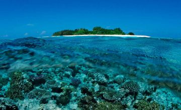 Le migliori isole per fare Snorkeling alle Maldive