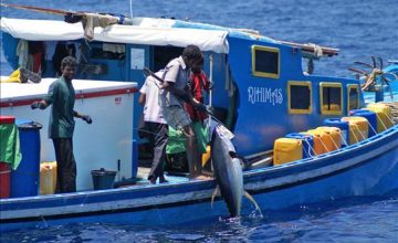 pesca alle maldive